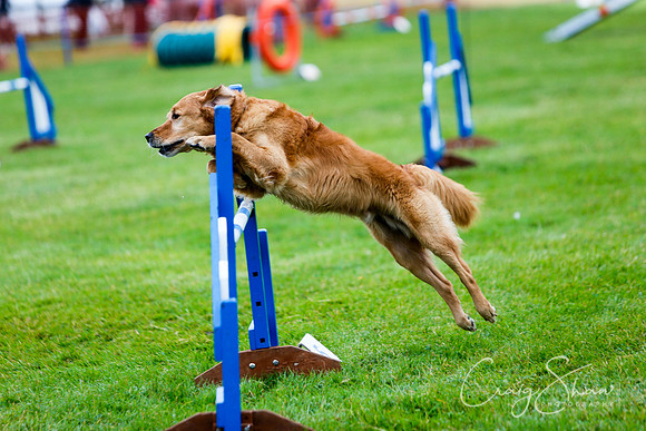 229_newtonheath2015_saturday_craigshaw