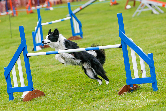 271_newtonheath2015_saturday_craigshaw