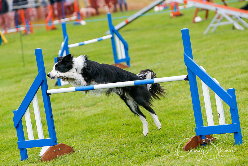 272_newtonheath2015_saturday_craigshaw