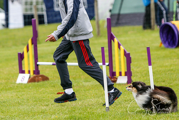 300_newtonheath2015_saturday_craigshaw