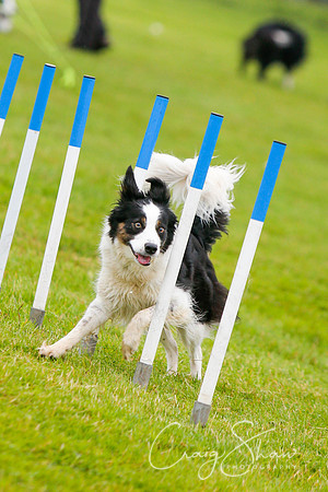308_newtonheath2015_saturday_craigshaw