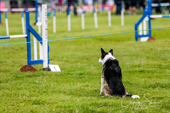 337_newtonheath2015_saturday_craigshaw