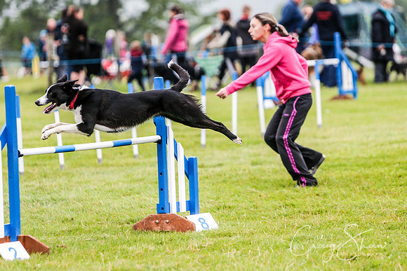 350_newtonheath2015_saturday_craigshaw