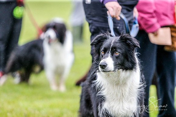 402_newtonheath2015_saturday_craigshaw