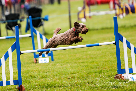 405_newtonheath2015_saturday_craigshaw