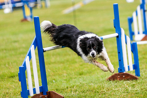 423_newtonheath2015_saturday_craigshaw