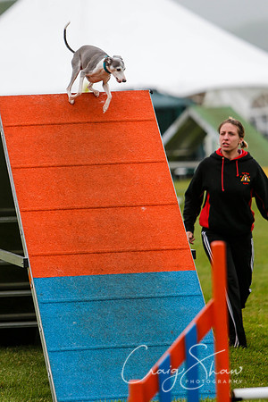 458_newtonheath2015_saturday_craigshaw