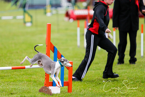 462_newtonheath2015_saturday_craigshaw