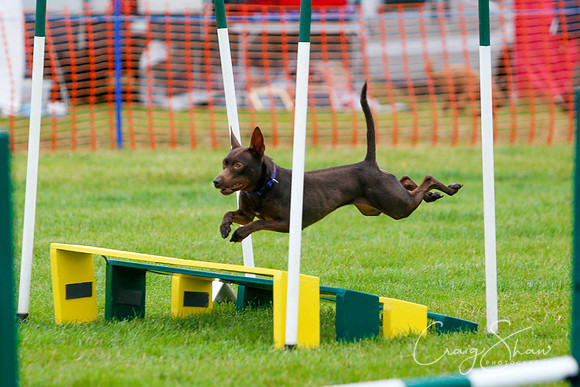 485_newtonheath2015_saturday_craigshaw