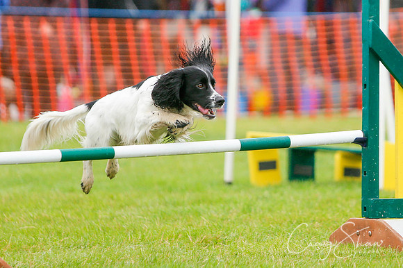528_newtonheath2015_saturday_craigshaw