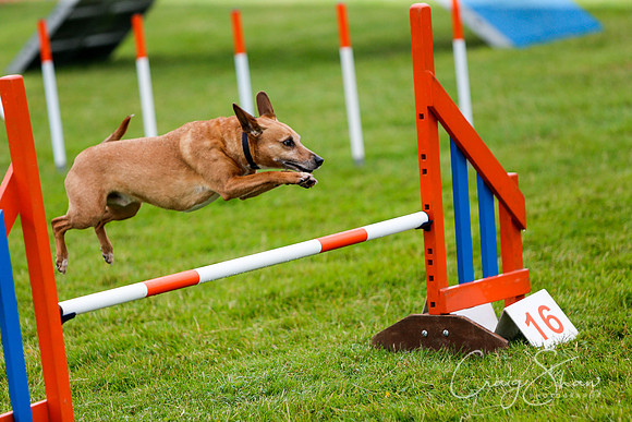 557_newtonheath2015_saturday_craigshaw