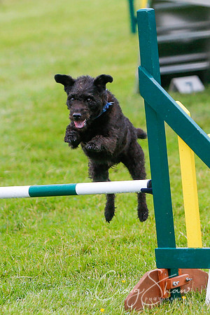 563_newtonheath2015_saturday_craigshaw