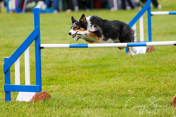 576_newtonheath2015_saturday_craigshaw