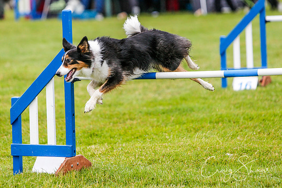 577_newtonheath2015_saturday_craigshaw