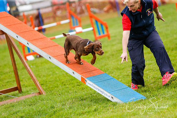 583_newtonheath2015_saturday_craigshaw