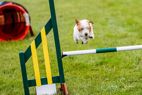 594_newtonheath2015_saturday_craigshaw