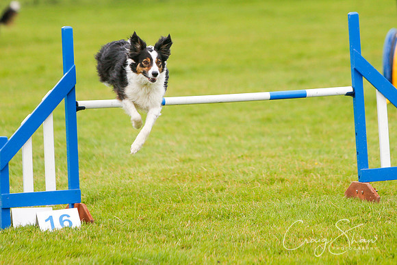 598_newtonheath2015_saturday_craigshaw