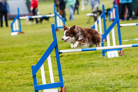 618_newtonheath2015_saturday_craigshaw