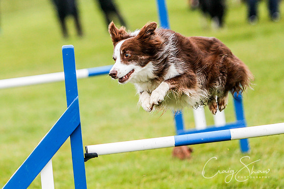 622_newtonheath2015_saturday_craigshaw