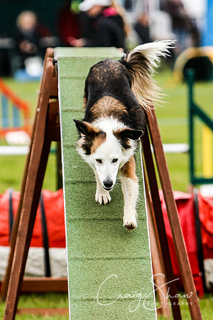 655_newtonheath2015_saturday_craigshaw