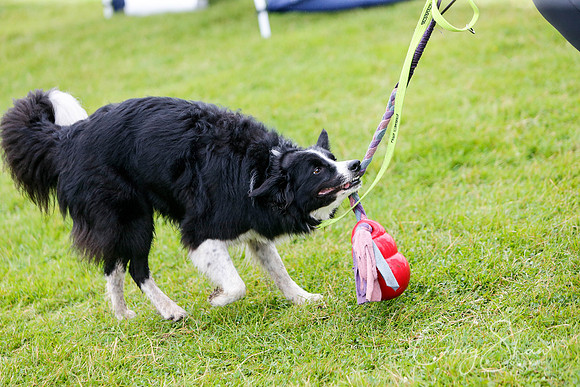 678_newtonheath2015_saturday_craigshaw