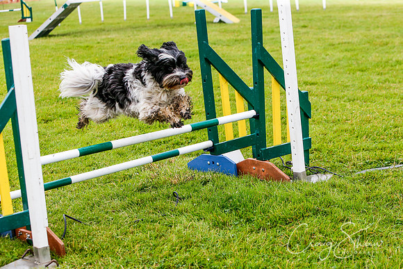 817_newtonheath2015_saturday_craigshaw