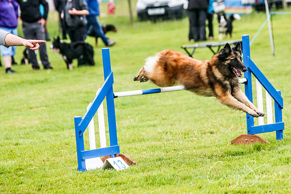 864_newtonheath2015_saturday_craigshaw