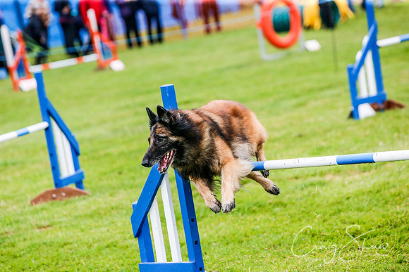868_newtonheath2015_saturday_craigshaw