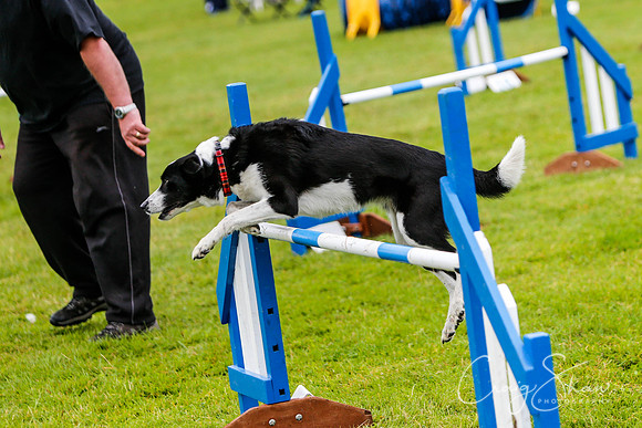 923_newtonheath2015_saturday_craigshaw