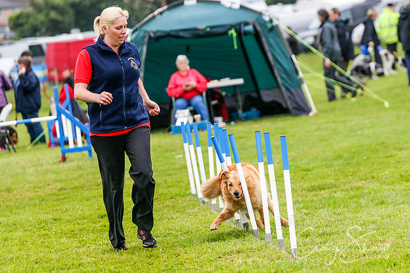 932_newtonheath2015_saturday_craigshaw