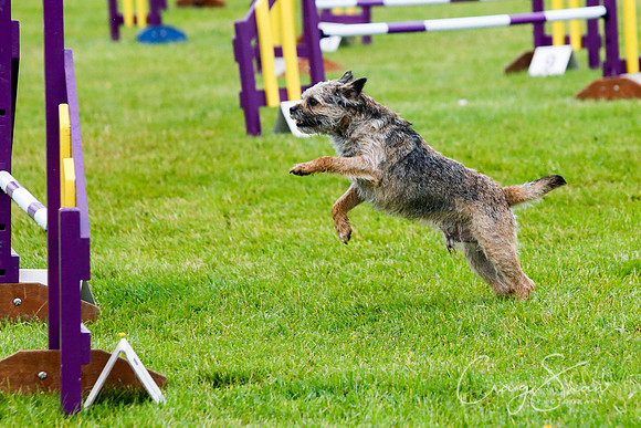 972_newtonheath2015_saturday_craigshaw