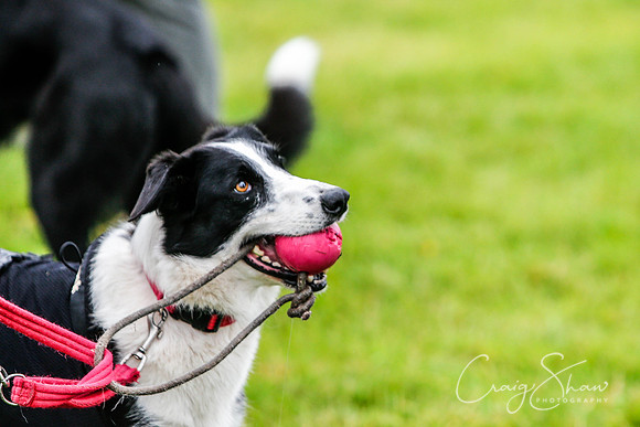 1034_newtonheath2015_saturday_craigshaw