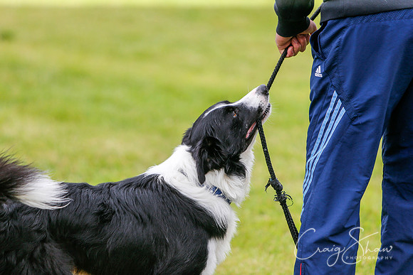 1053_newtonheath2015_saturday_craigshaw