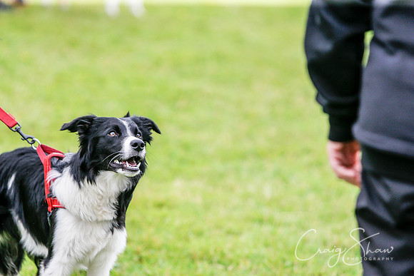 1083_newtonheath2015_saturday_craigshaw