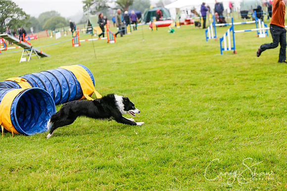 1195_newtonheath2015_saturday_craigshaw