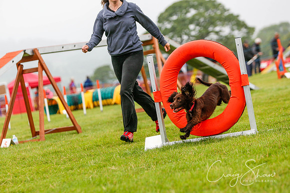 1249_newtonheath2015_saturday_craigshaw
