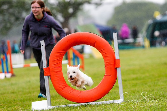 1304_newtonheath2015_saturday_craigshaw