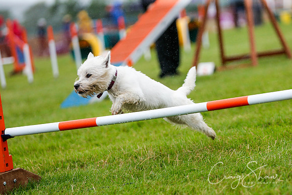 1310_newtonheath2015_saturday_craigshaw