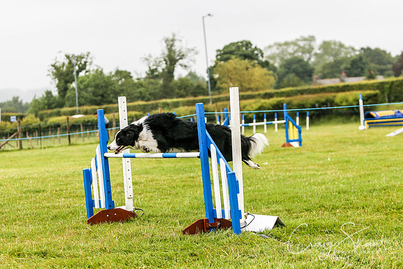 1352_newtonheath2015_saturday_craigshaw