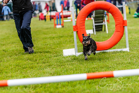 1409_newtonheath2015_saturday_craigshaw