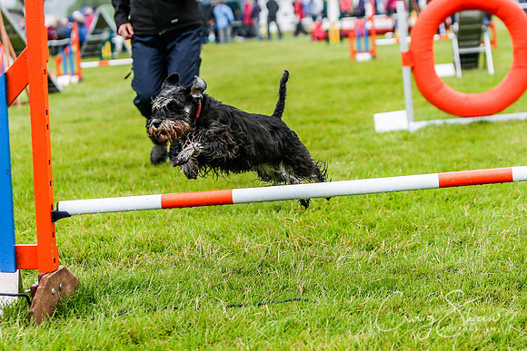 1412_newtonheath2015_saturday_craigshaw