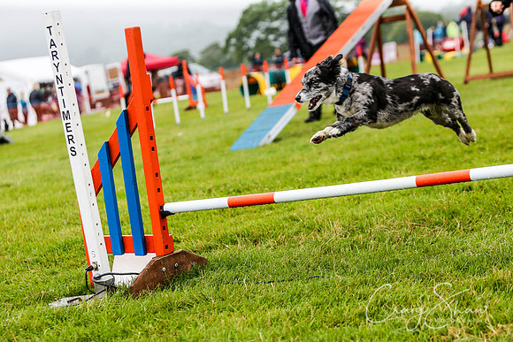 1429_newtonheath2015_saturday_craigshaw
