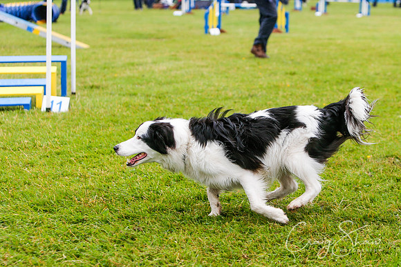 1526_newtonheath2015_saturday_craigshaw