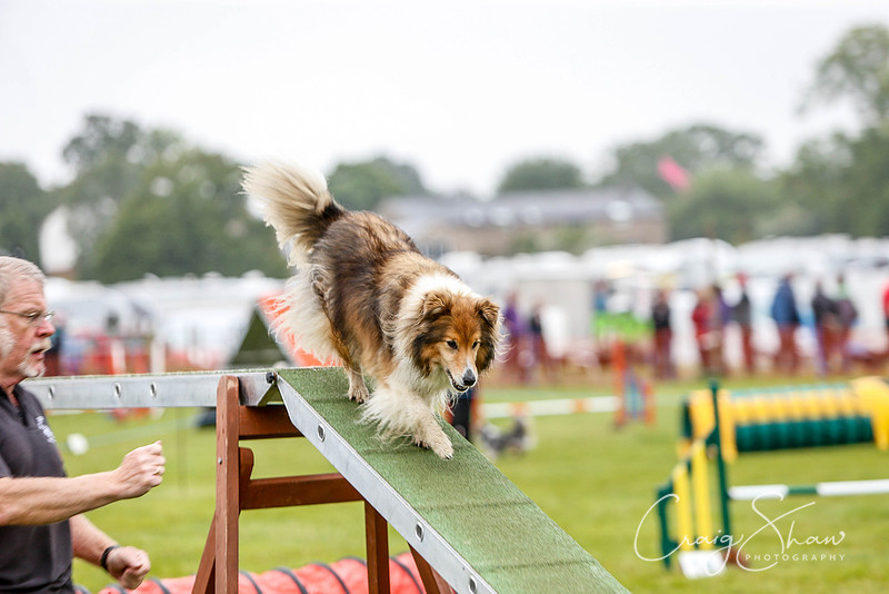 61_newtonheath2015_saturday_craigshaw