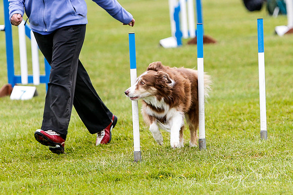 125_newtonheath2015_saturday_craigshaw