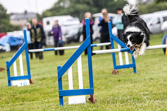175_newtonheath2015_saturday_craigshaw