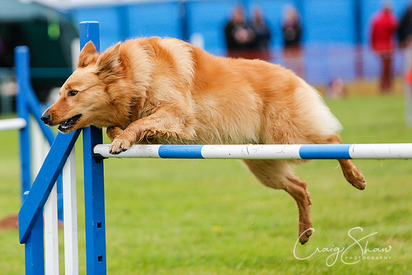 945_newtonheath2015_saturday_craigshaw
