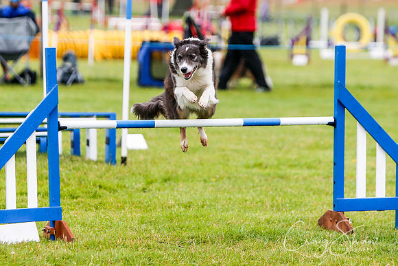 1383_newtonheath2015_saturday_craigshaw