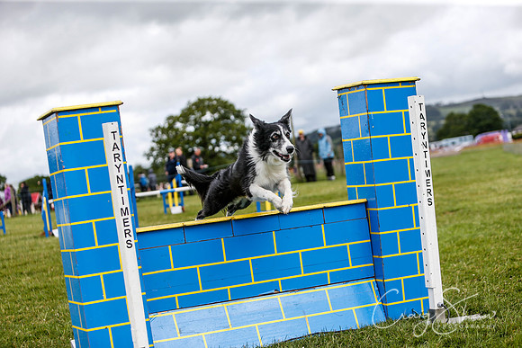 3935_newtonheath2015_sunday_craigshaw