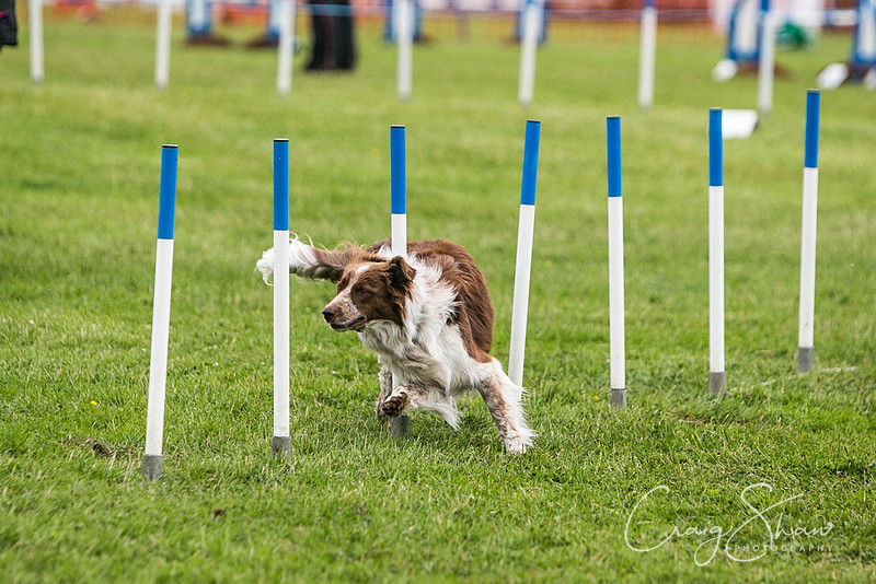 5404_newtonheath2015_sunday_craigshaw
